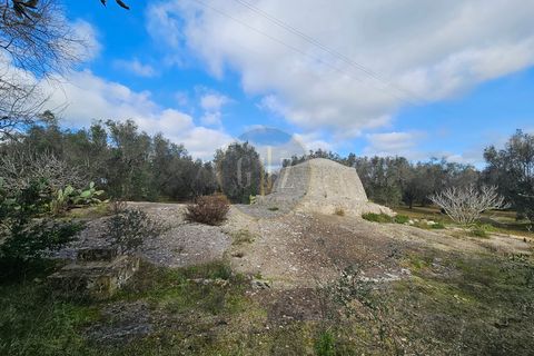 Tomt i Martano, Lecce, Martano - € 55 000 | Ref: TR002 - foto 13